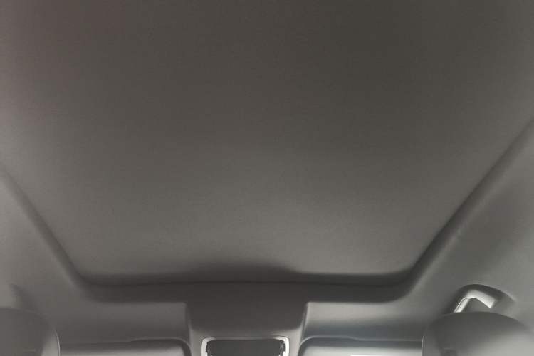 Used Haval H6S 2022 2.0T Two-Wheel Drive ZhiRun Version Headliner