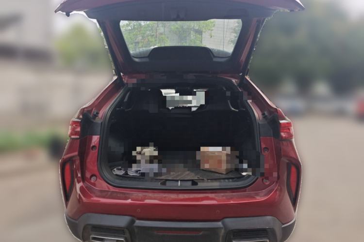 Used Haval H6S 2022 2.0T All-Wheel-Drive Trendy Sports Edition Trunk
