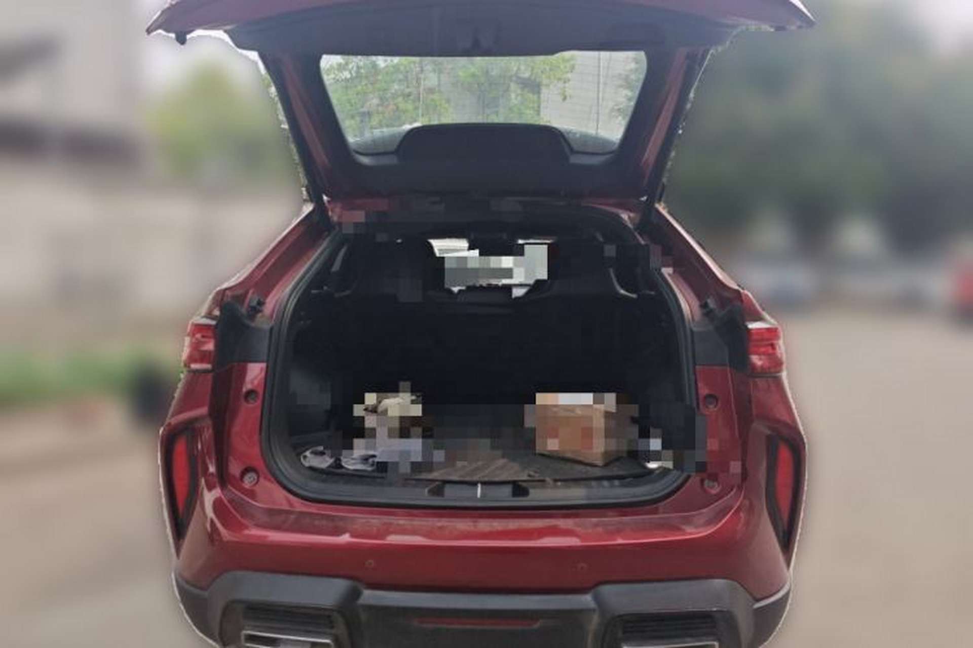 Used Haval H6S 2022 2.0T All-Wheel-Drive Trendy Sports Edition Trunk