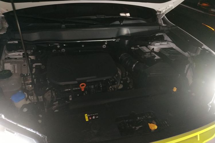 Used Haval H6S 2022 2.0T Two-Wheel Drive ZhiRun Version Engine Bay