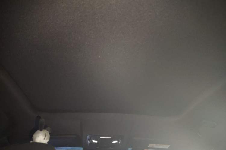Used Haval H6S 2022 2.0T Two-Wheel Drive ZhiRun Version Headliner