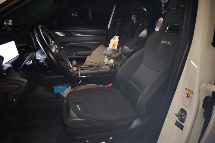 Used Haval H6S 2022 2.0T Two-Wheel Drive ZhiRun Version Left Front Seat