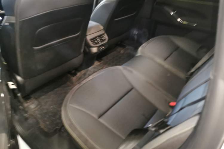 Used Haval H6S 2022 2.0T Two-Wheel Drive JoyRun Version Left Rear Seat
