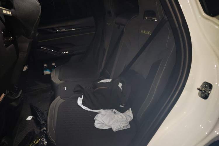 Used Haval H6S 2022 2.0T Two-Wheel Drive ZhiRun Version Left Rear Seat