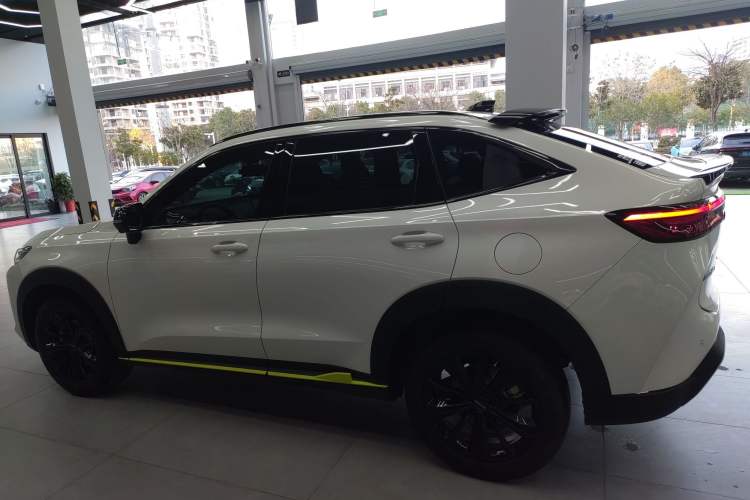 Used Haval H6S 2022 2.0T Two-Wheel Drive JoyRun Version Left Side
