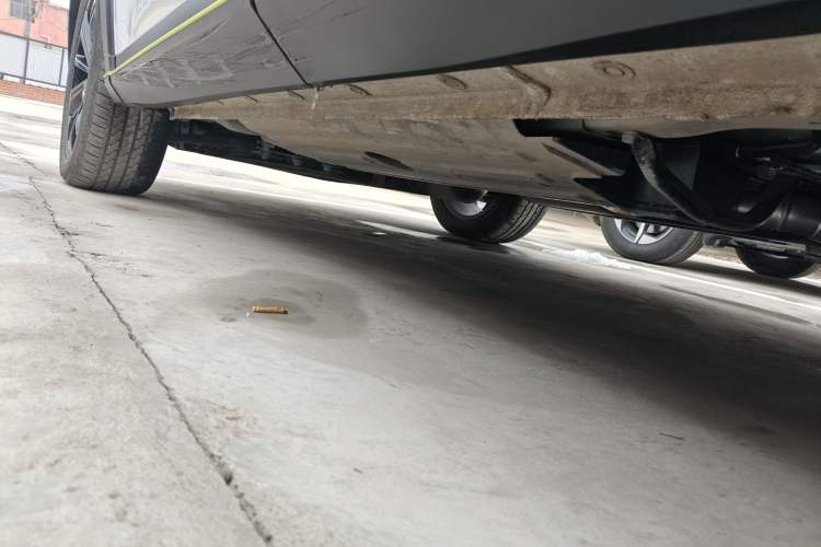 Used Haval H6S 2022 2.0T Two-Wheel Drive ZhiRun Version Left Side Sill