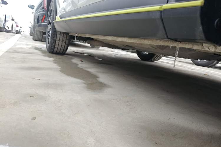 Used Haval H6S 2022 2.0T Two-Wheel Drive ZhiRun Version Right Side Sill