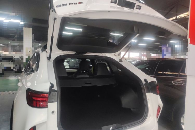 Used Haval H6S 2022 2.0T Two-Wheel Drive ZhiRun Version Trunk
