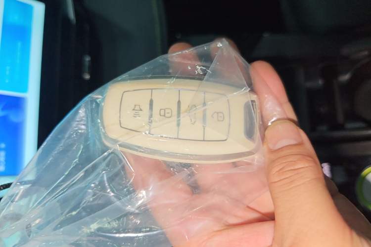Used Haval H6S 2022 2.0T Two-Wheel Drive ZhiRun Version Vehicle Key
