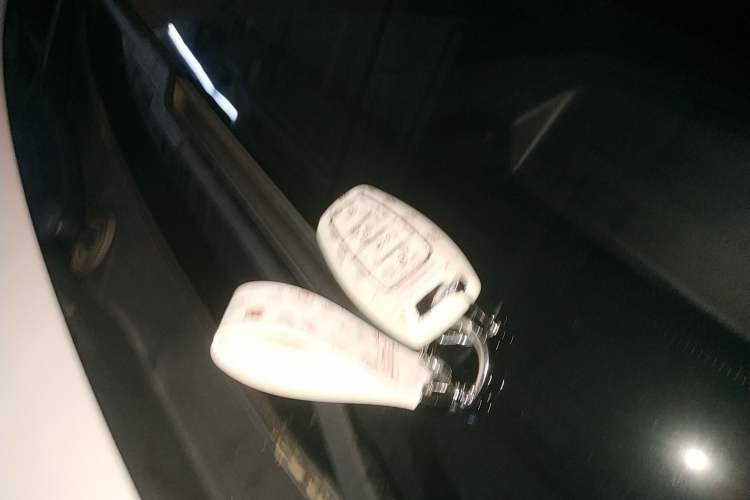 Used Haval H6S 2022 2.0T Two-Wheel Drive ZhiRun Version Vehicle Key