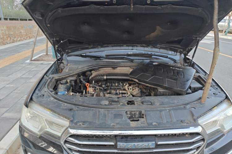 Used Haval H7 2016 Blue-Label H7 2.0T Automatic Luxury Model Engine Bay