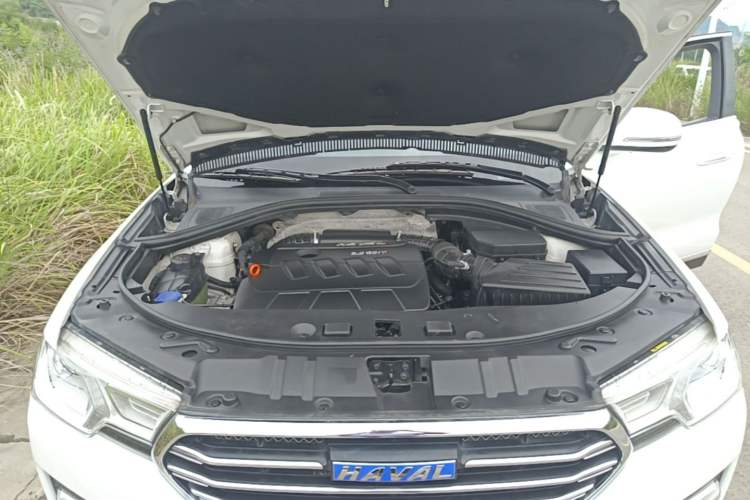Used Haval H7 2016 Blue-Label H7 2.0T Automatic Luxury Model Engine Bay