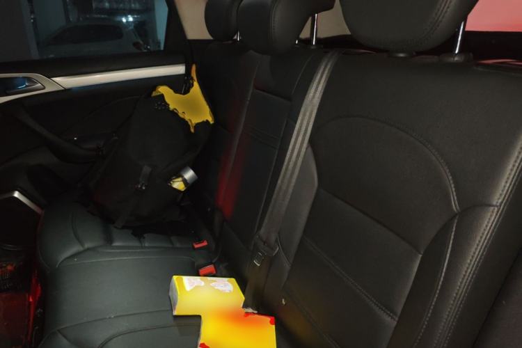 Used Haval H7 2016 Blue-Label H7 2.0T Automatic Luxury Model Left Rear Seat