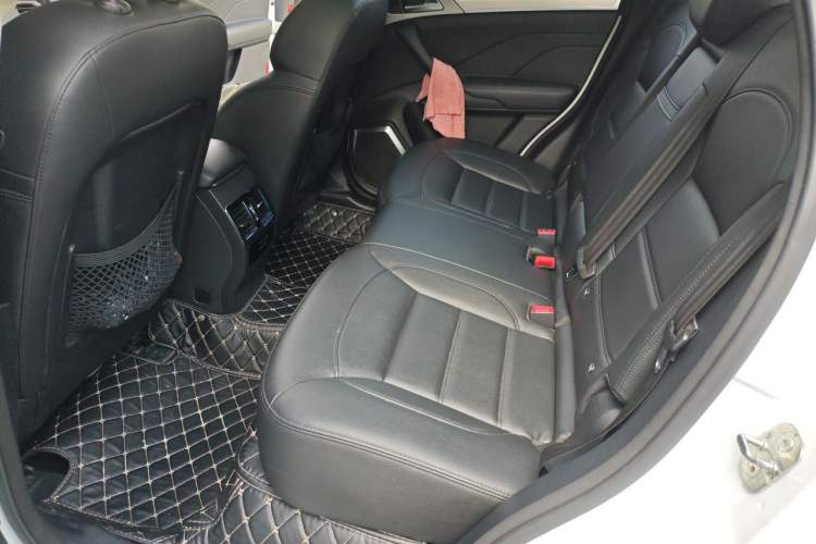 Used Haval H7 2016 Blue-Label H7 2.0T Automatic Luxury Model Left Rear Seat