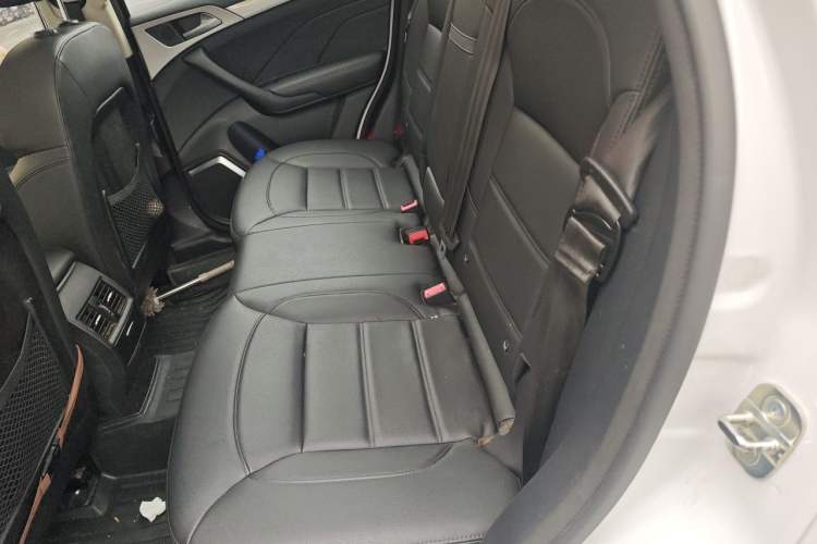 Used Haval H7 2016 Blue-Label H7 2.0T Automatic Luxury Model Left Rear Seat