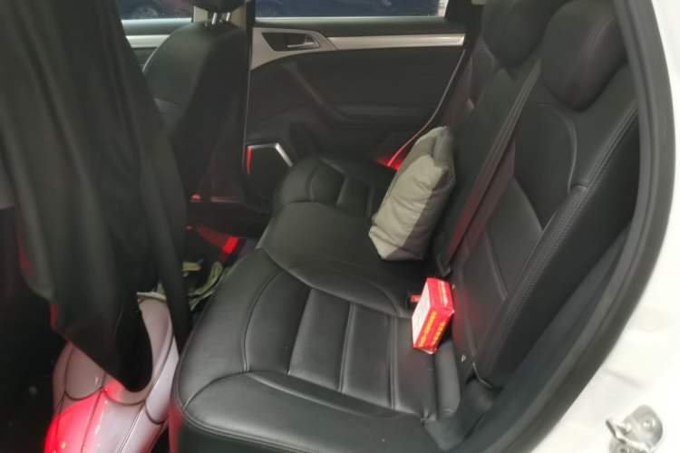 Used Haval H7 2016 Blue-Label H7 2.0T Automatic Elite Model Left Rear Seat