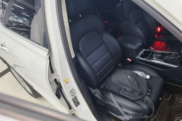 Used Haval H7 2016 Blue-Label H7 2.0T Automatic Luxury Model Right Front Seat