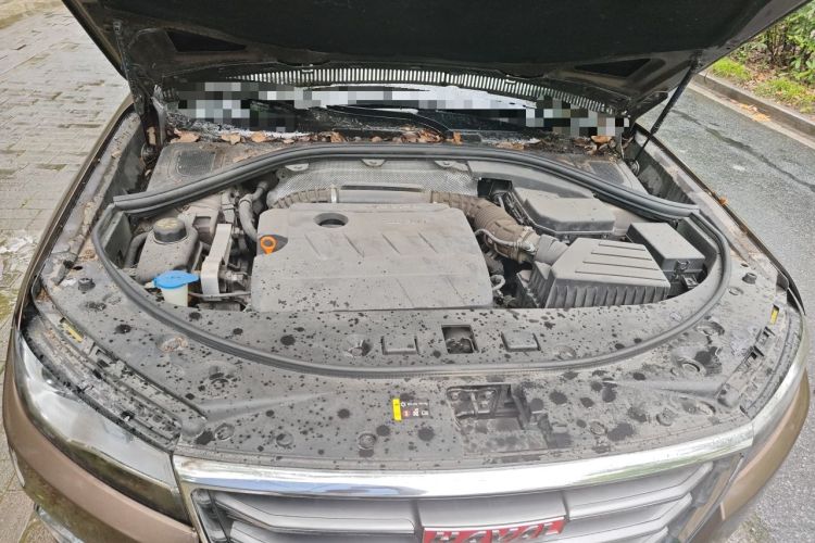 Used Haval H7 2017 Red-Label H7 2.0T Automatic Luxury Model Engine Bay