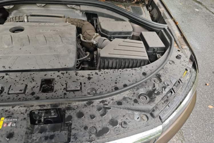 Used Haval H7 2017 Red-Label H7 2.0T Automatic Luxury Model Engine Bay Left