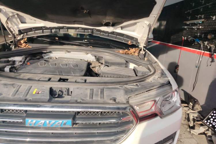 Used Haval H7 2017 Blue-Label H7L 2.0T Automatic Luxury Model Engine Bay Left