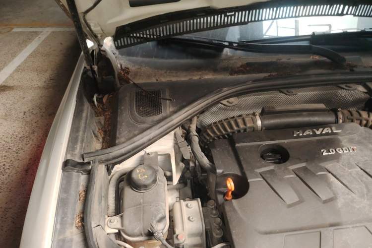 Used Haval H7 2017 Blue-Label H7L 2.0T Automatic Elite Model Engine Bay Right