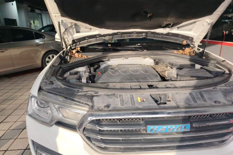 Used Haval H7 2017 Blue-Label H7L 2.0T Automatic Luxury Model Engine Bay Right