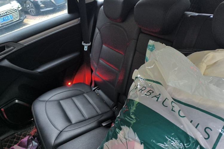 Used Haval H7 2017 Blue Label H7L 2.0T Automatic Prestige Model Left Rear Seat