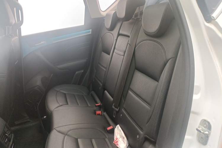 Used Haval H7 2017 Red-Label H7 2.0T Automatic Luxury Model Left Rear Seat