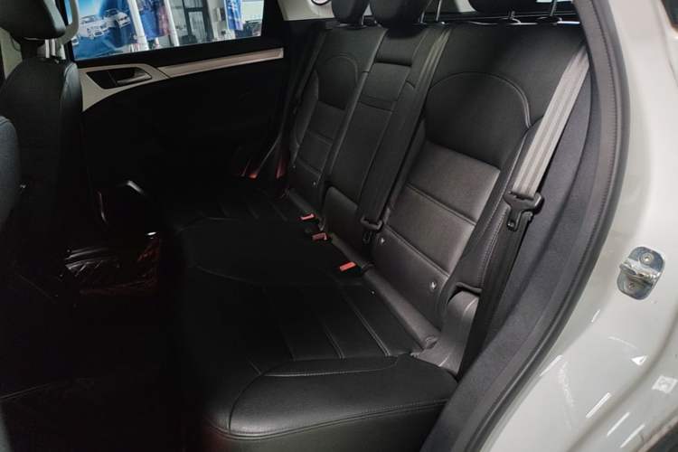 Used Haval H7 2017 Red-Label H7 2.0T Automatic Luxury Model Left Rear Seat