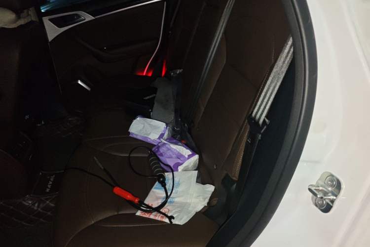 Used Haval H7 2017 Red-Label H7 2.0T Automatic Luxury Model Left Rear Seat