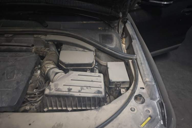 Used Haval H7 2018 Blue-Label H7 2.0T Automatic Smart Edition Engine Bay Left
