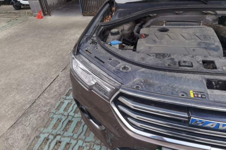 Used Haval H7 2018 Blue-Label H7 2.0T Automatic Smart Edition Exterior 6