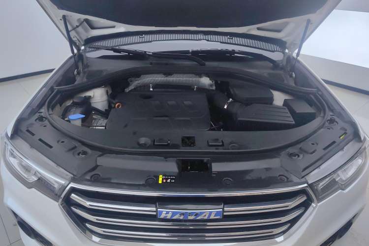 Used Haval H7 2018 Revised Version Blue-Label H7 2.0T Automatic Smart Enjoyment Trim Engine Bay