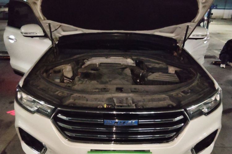 Used Haval H7 2018 Revised Version Blue-Label H7 2.0T Automatic Smart Enjoyment Trim Engine Bay