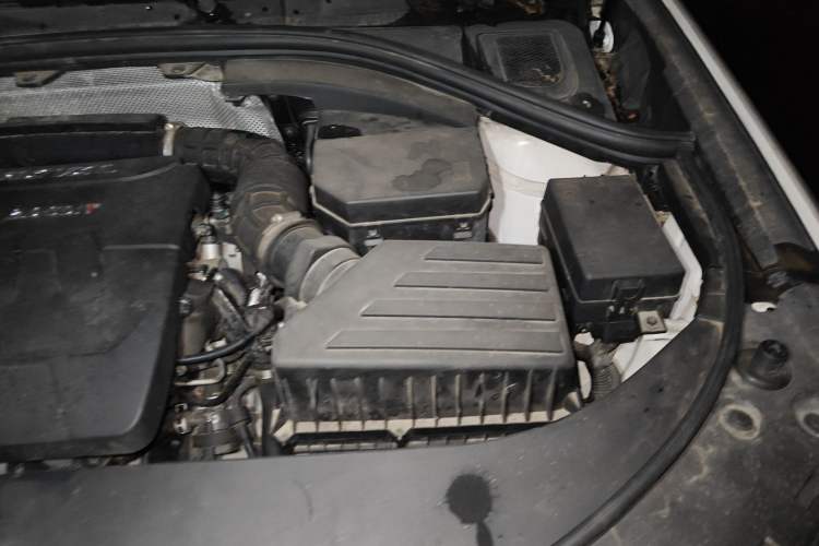 Used Haval H7 2018 Blue-Label H7 2.0T Automatic Enjoyment Model Engine Bay Left
