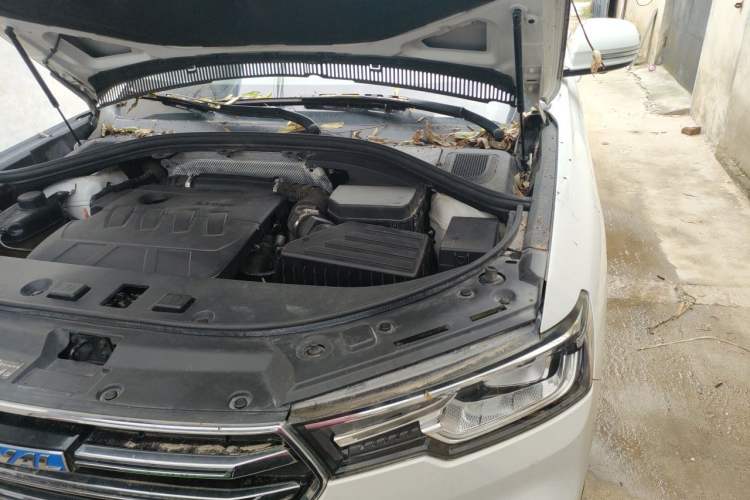 Used Haval H7 2018 Revised Version Blue-Label H7 2.0T Automatic Smart Enjoyment Trim Engine Bay Left