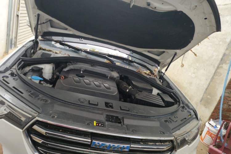 Used Haval H7 2018 Revised Version Blue-Label H7 2.0T Automatic Smart Enjoyment Trim Engine Bay