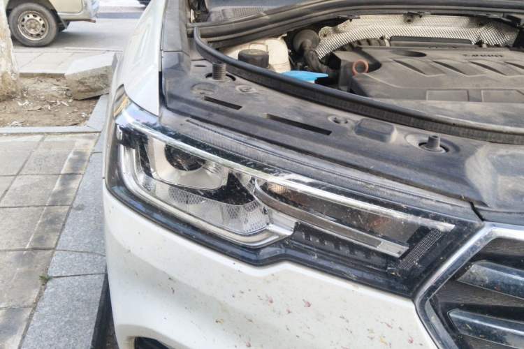Used Haval H7 2018 Blue-Label H7 2.0T Automatic Enjoyment Model Exterior 6