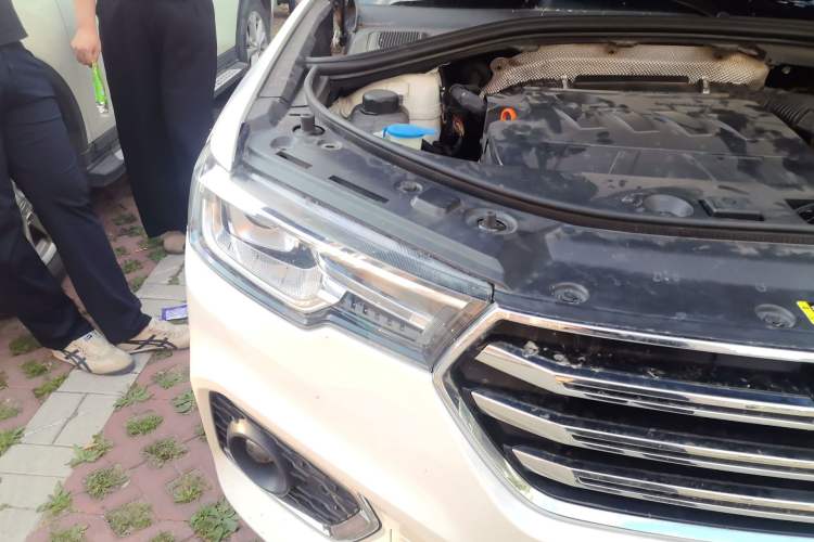 Used Haval H7 2018 Revised Version Blue-Label H7 2.0T Automatic Smart Enjoyment Trim Right Front Headlight
