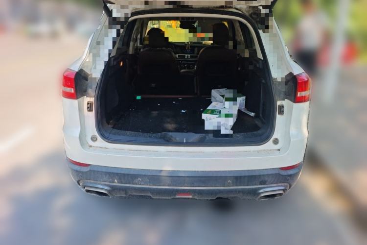 Used Haval H7 2018 Revised Version Blue-Label H7 2.0T Automatic Smart Enjoyment Trim Trunk