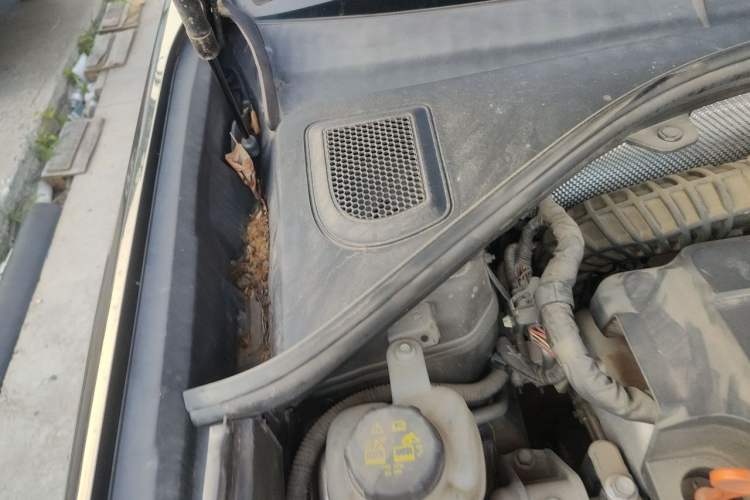 Used Haval H7 2019 H7L 2.0T Luxury Model Engine Bay Right