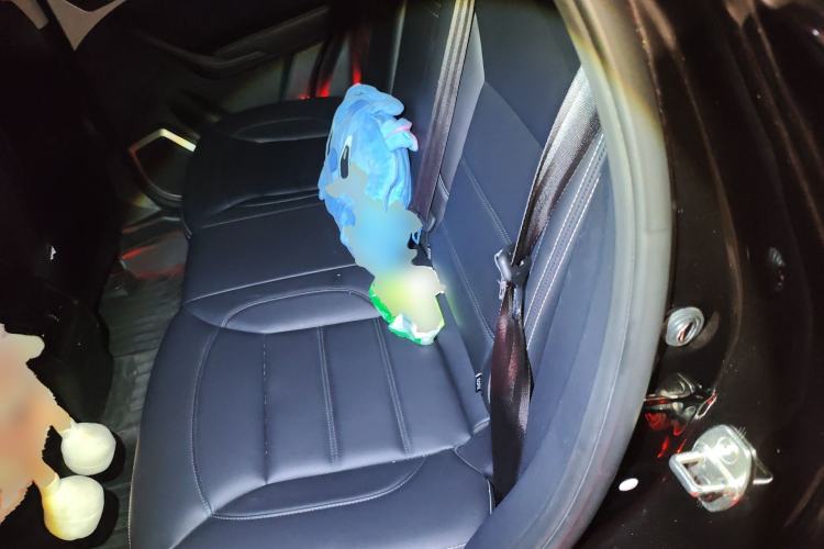 Used Haval H7 2019 2.0T Enjoyment Version China V Standard Left Rear Seat