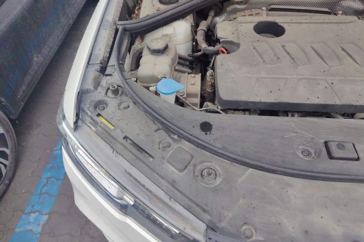 Used Haval H7 2019 2.0T Luxury Edition China VI Standard Engine Bay Right
