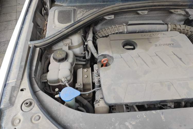 Used Haval H7 2019 2.0T Smart Enjoyment Version China V Standard Engine Bay Right
