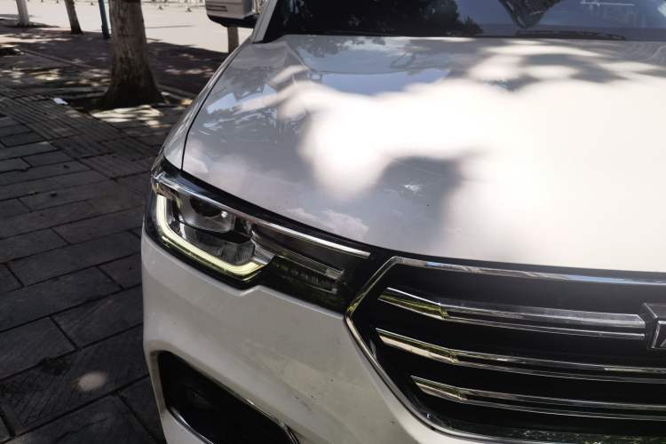 Used Haval H7 2019 2.0T Enjoyment Version China V Standard Right Front Headlight