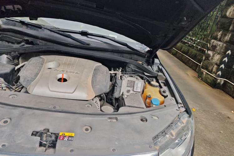 Used Haval H8 2015 2.0T Two-Wheel-Drive Standard Version Engine Bay Left