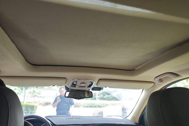 Used Haval H8 2015 2.0T Two-Wheel-Drive Elite Version Headliner