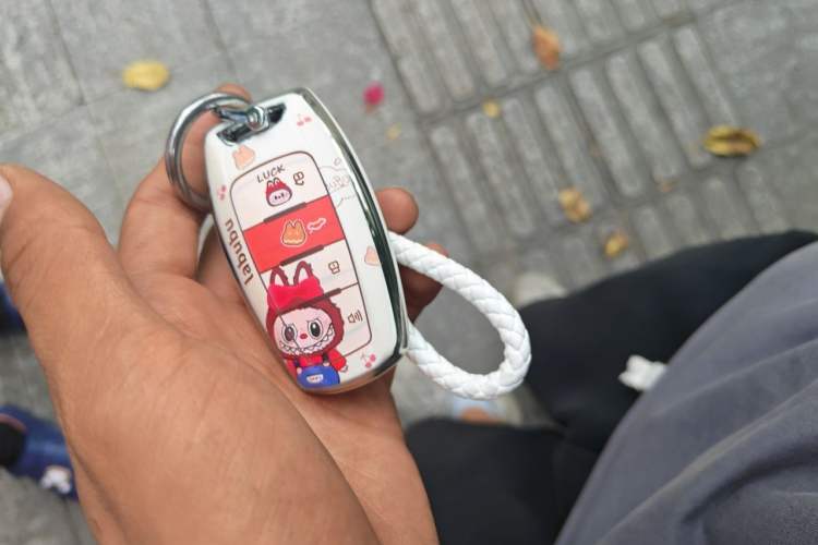 Used Haval H8 2015 2.0T Two-Wheel Drive Comfort Version Vehicle Key