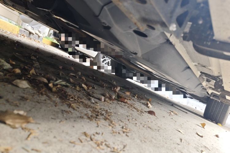 Used Haval H8 2015 2.0T Two-Wheel-Drive Standard Version Chassis Front Left