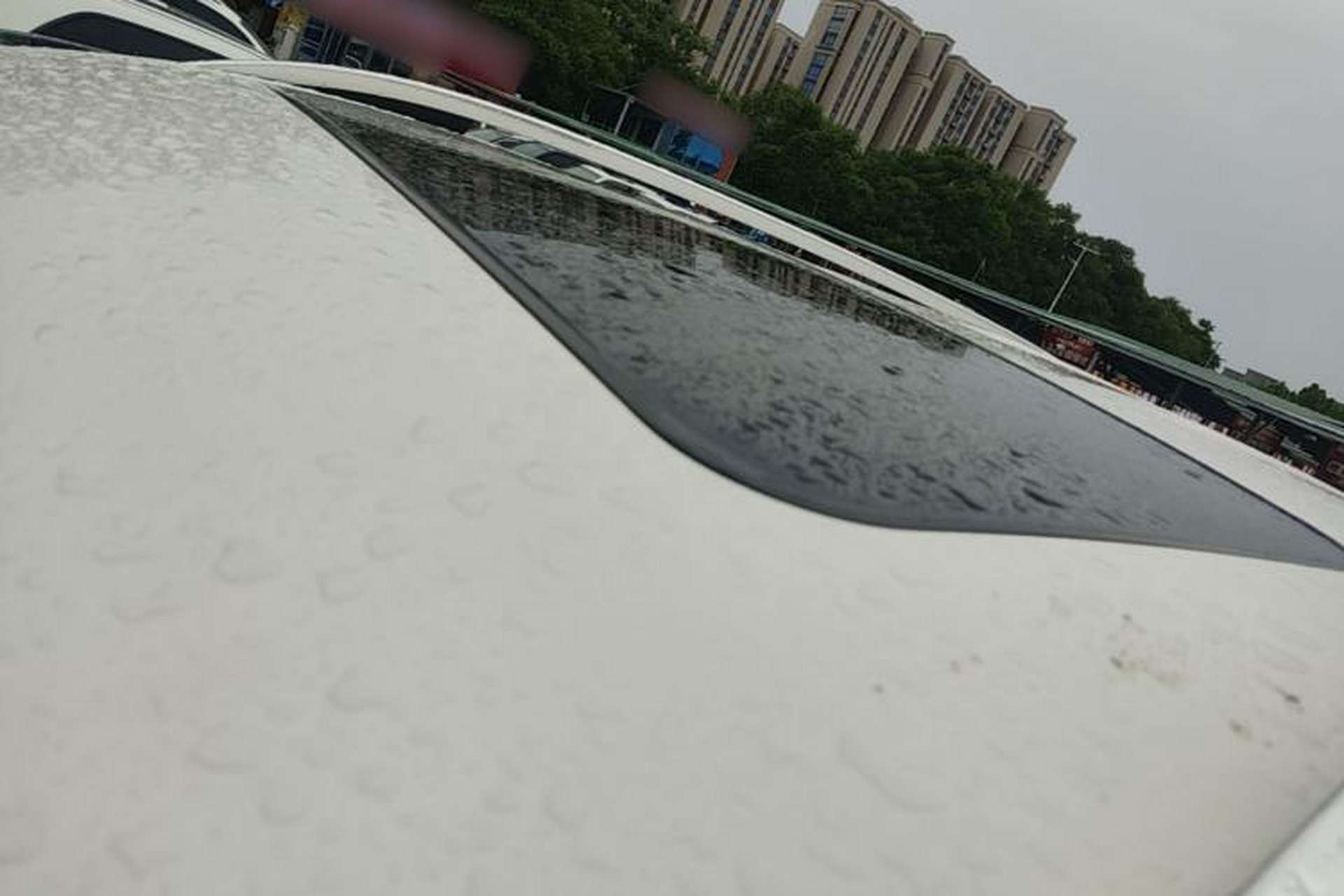 Used Haval H8 2015 2.0T Two-Wheel-Drive Standard Version Roof